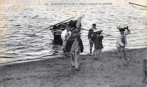 1146- Philippeville - Debarquement du poisson